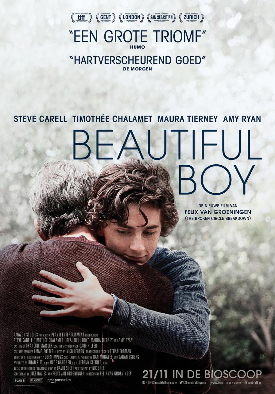 Cậu bé xinh đẹp Tải xuống đĩa Blu-ray gốc + phiên bản MKV HD/Beautiful Boy (Đài Loan) 2018 Beautiful Boy 36.6G