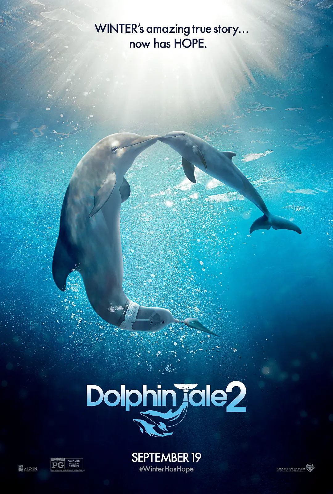 Câu chuyện cá heo 2 Tải xuống đĩa Blu-ray gốc / Huyền thoại cá heo 2 / Câu chuyện cá heo 2 2014 Dolphin Tale 2 31.15G