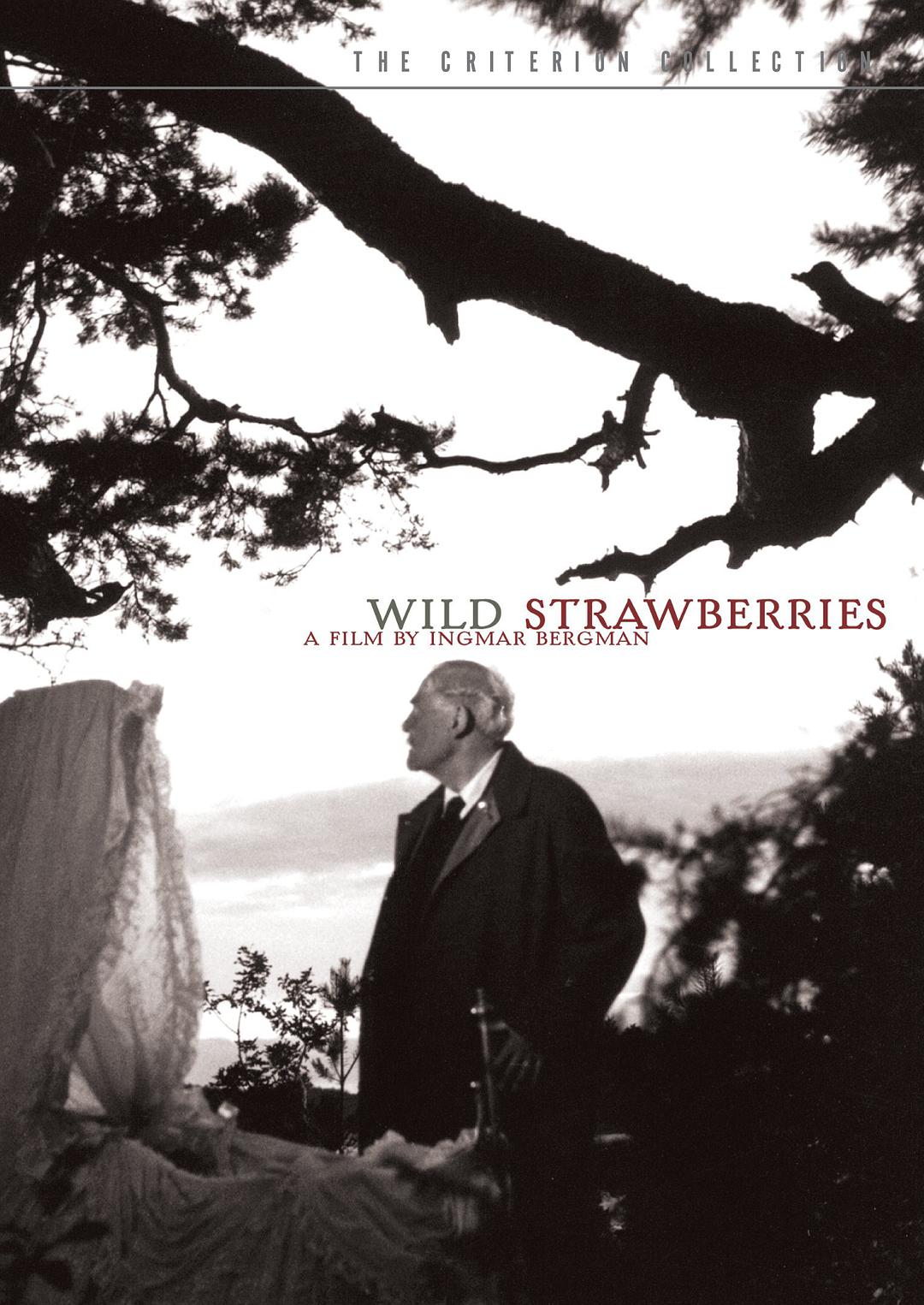 Dâu rừng Tải xuống đĩa Blu-ray gốc + phiên bản MKV HD/Wild Strawberries 1957 Smultronstället 16.1G