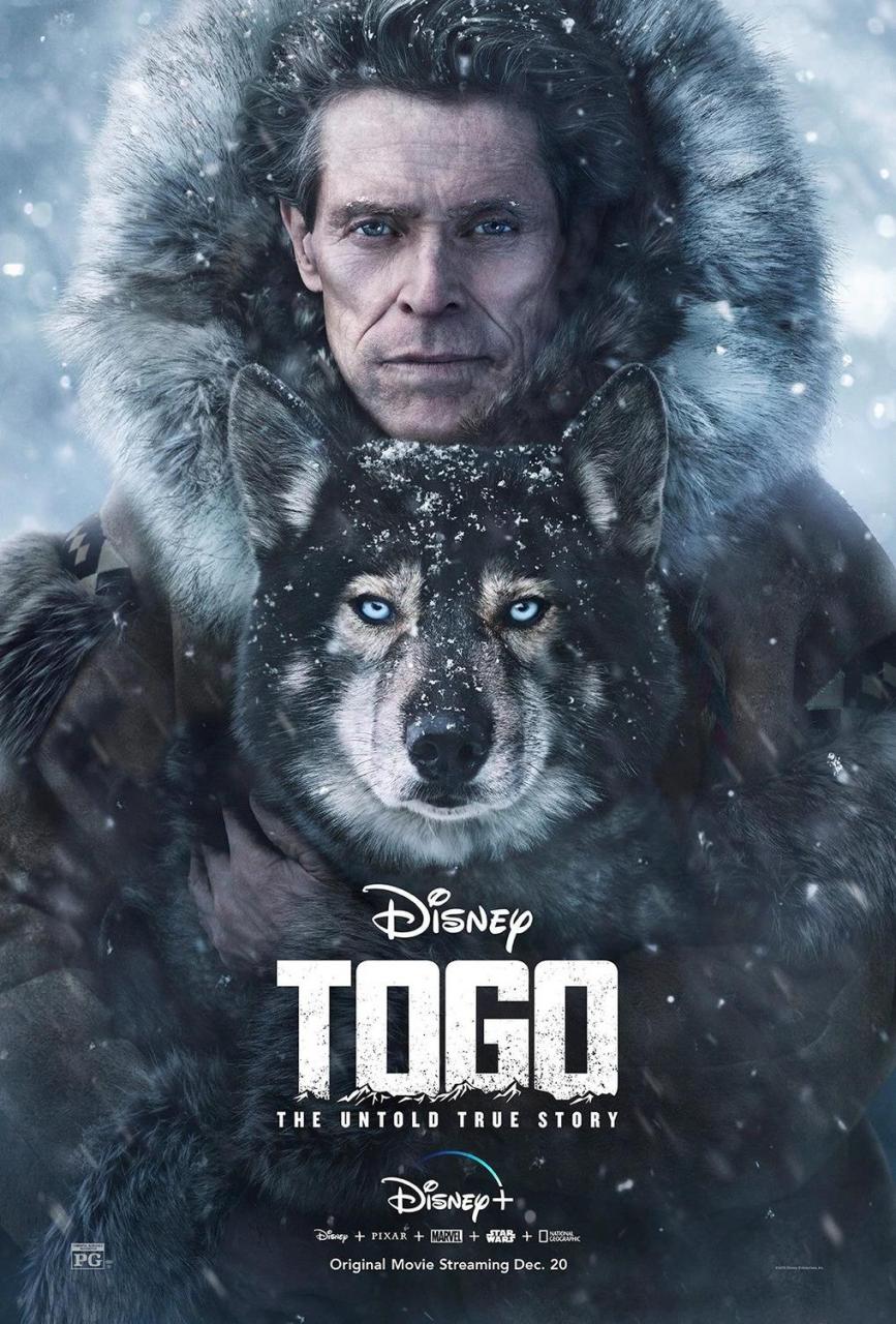 Tải xuống đĩa Blu-ray 4K Togo + phiên bản MKV HD/Togo: The Untold True Story 2019 Togo 15.9G