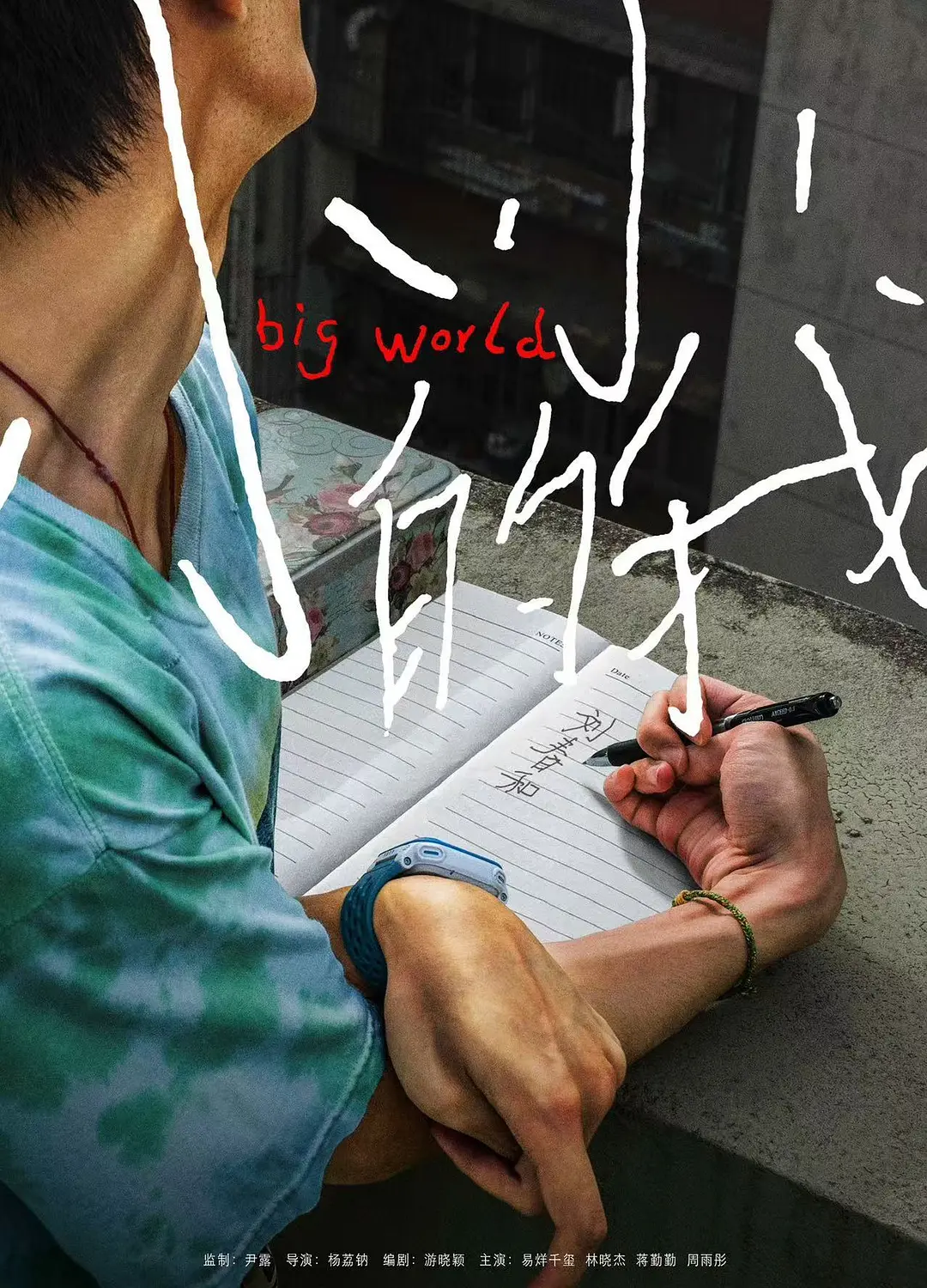Tôi nhỏ bé WEB-DL phiên bản tải xuống/Big World 2024 Tôi nhỏ bé 24.23G